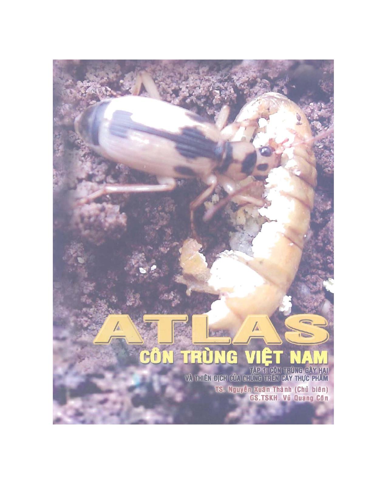 Atlas côn trùng Việt Nam- Tập I: Côn trùng gây hại và thiên địch của chúng trên cây thực phẩm.